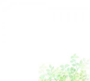 bg_img001_right